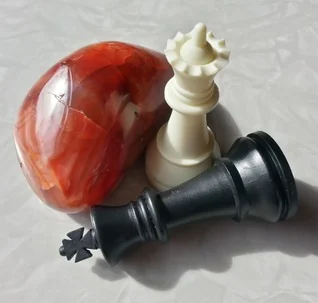 Significant Digits cover